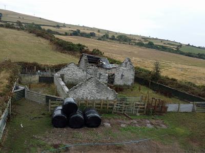 Picture 36